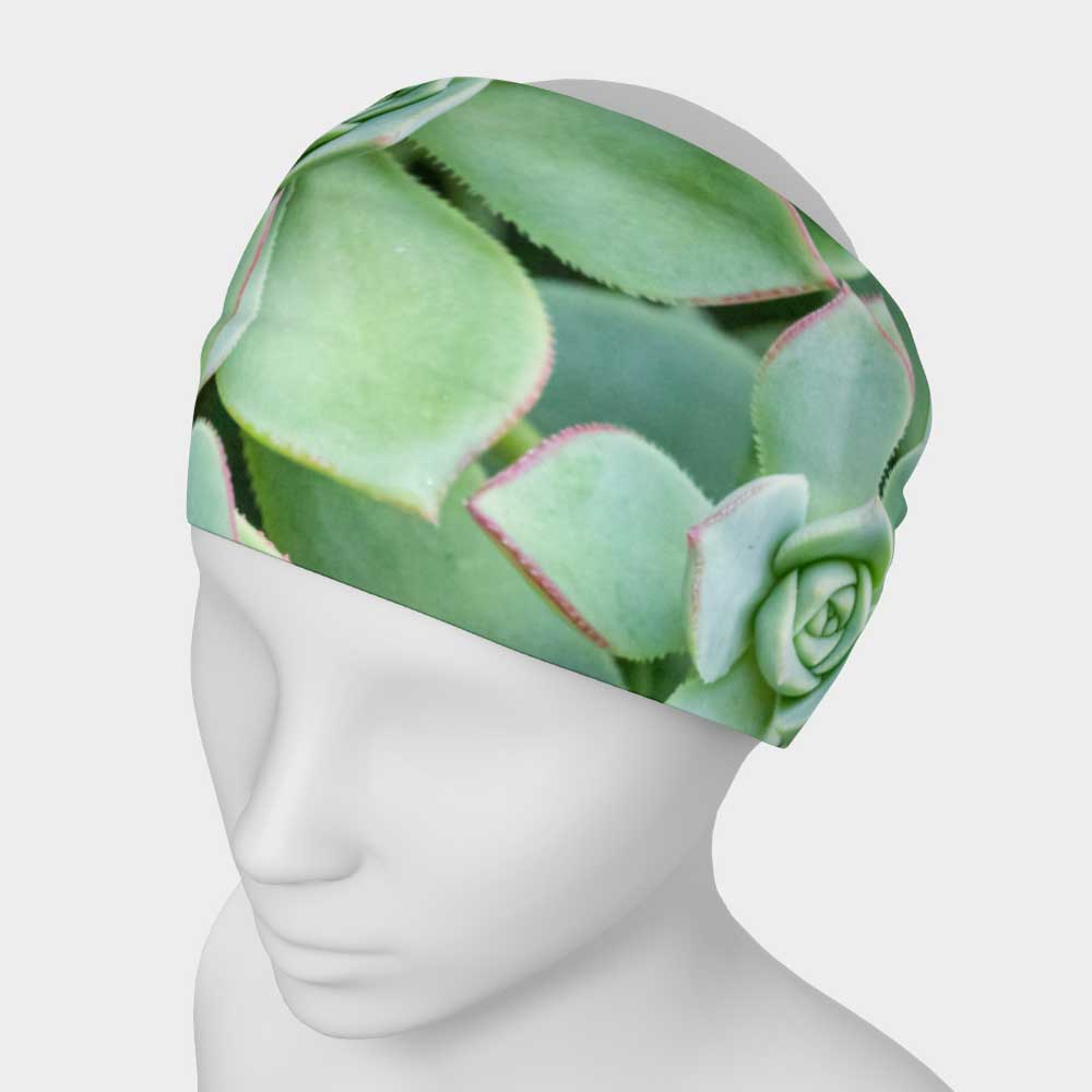 succulent headband Succulent Garden Headband – Carolyn Eicher